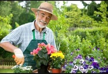 iş elanları 2024 xırdalan: Bağban, 45 il, 6 ildən artıq təcrübə — 3