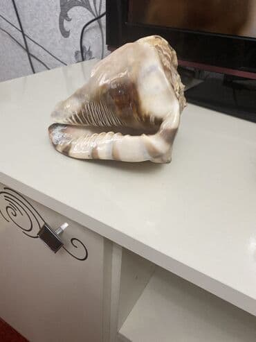 qedim saatlar: Əntiq saatlar — 7