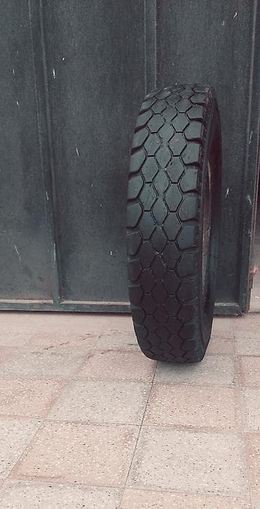 şam disgi: İşlənmiş Şin 260 / >80 / R >34 — 1