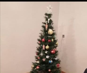 yolka agaci: Yeni il yolkasi, Yolka rengareng işıqlanmaynandı 1.70 sm — 2