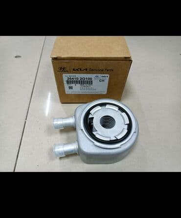 cesqa qiymeti: Yag raditorlari hyundai kia modelleri ucun munasib qiymete — 1