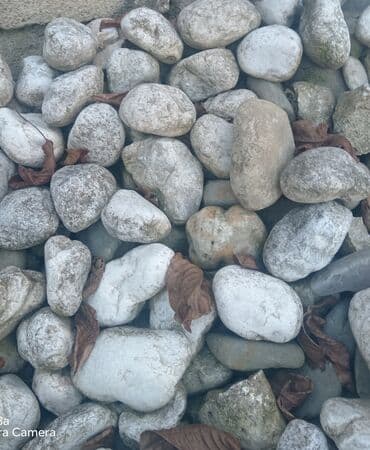 Kafel və metlax: Əhəngçün çaydan Ağ daş yığıb həmdə kamaza yüklüyürəm başqa şeyçün — 1