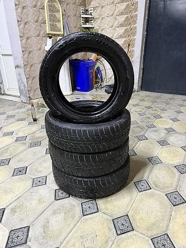 formula teker 07: 4 ədəd avtomobil şini - Tip: Qış şini (protektor naxışları sıx — 3