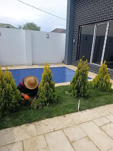 termo aqlay ustasi: Xidmət: Bağ və villa həyətlərinin yaşıllaşdırılması üçün təbii rulon — 4