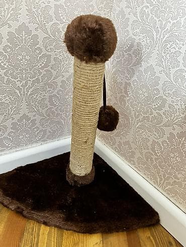 sibir pisiyi: Künc üçün pişik dırmaşma və dırnaq itiləmə dirəyi - Dizayn: Küncə — 2