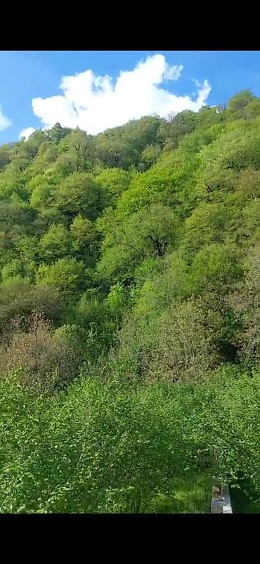 masazirda evlerin satisi: 14 sot, Tikinti, Mülkiyyətçi, Kupça (Çıxarış) — 7