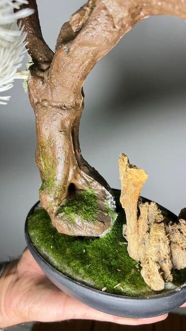 budda: Süni bonsai ağacı – dekorativ içməkan yaşıllaşdırma üçün - Realistik — 22