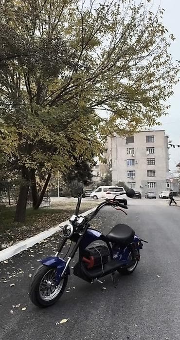 saft m800: Elektrik skuter/motosklet – chopper üslubunda şəhər gəzintisi üçün - — 1