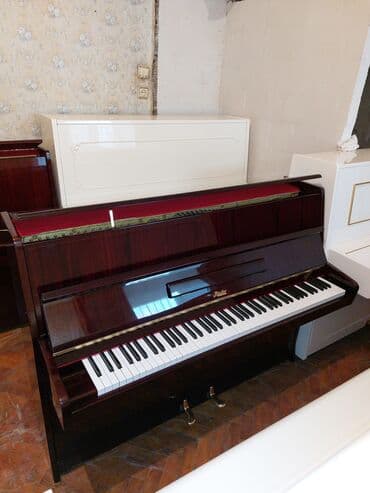 pianinolar: Pianino RÖSLER Cexiya istehsalı. İdeal vəziyyədə. Cadrılma və köklənmə — 3