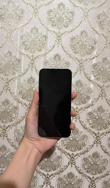 IPhone 15 Pro Max, White Titanium