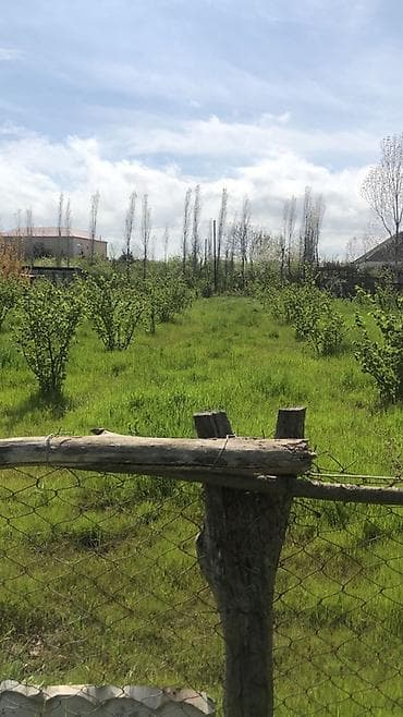 10 sot, Kənd təsərrüfatı, Makler