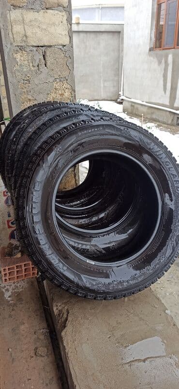 Bıçaqlar: İşlənmiş Şin Roadstone 235 / 65 / R 17 — 6