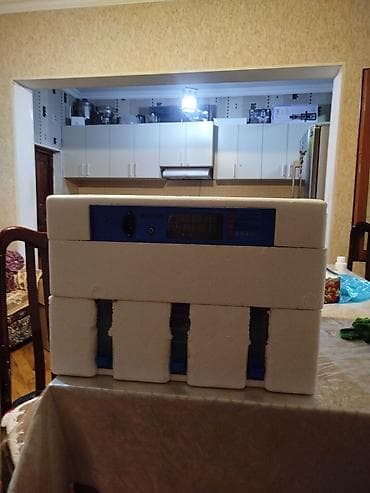 12v adapter: 128 yumurta tutumlu inkubator. 3 dəfə istifadə olunub 128 yumurtadan — 1