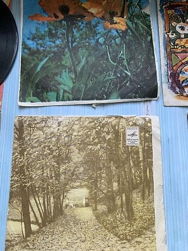 qrafin desti: Məhsul: Qədim üslubda şüşə qrafin dəsti və vinil lövhələr toplusu 1) — 5