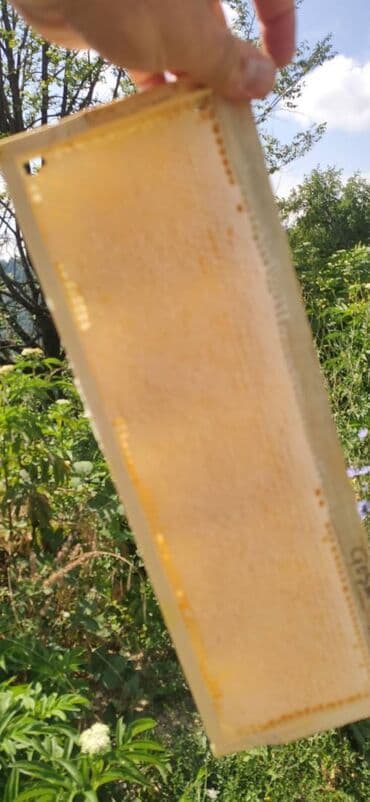 продается мед: ELF BEE'S 1977 ECO-PRODUCT FOR HEALTH AND LONGEVITY Tovuzun — 15