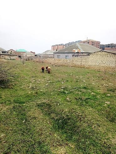 qusar tap az: 4 sot, Tikinti, Mülkiyyətçi, Kupça (Çıxarış) — 3