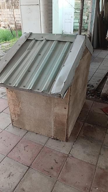 it maneji: Taxta it evi - Material: kontrplak/taxta gövdə, üstü rütubətə davamlı — 2