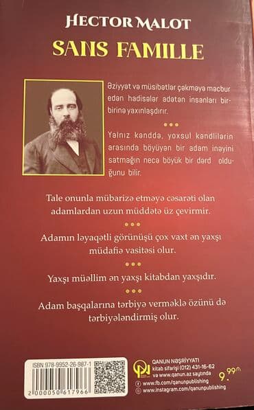 купить бу чемодан: ❤️ Hektor malo Ailesiz kitabı
Sans famille — 5