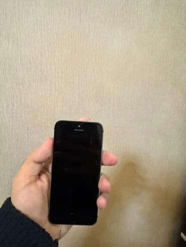 купить айфон 6: IPhone 5s, 16 ГБ, Black Titanium, Отпечаток пальца — 3