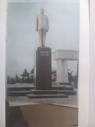 semeni dekoru: Dekor məhsulları — 3