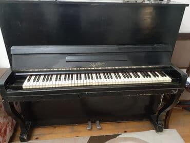 американские музыкальные инструменты: Piano, Akustik, İşlənmiş, Ünvandan götürmə — 3