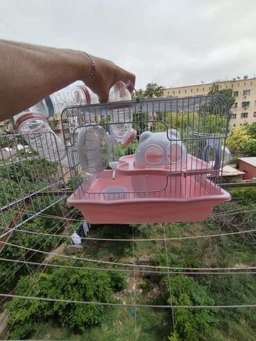 en ucuz gümüş: Ideal hamster qəfəsidi çox az işlənib deyə ucuz satıram.Real alıcıya — 2