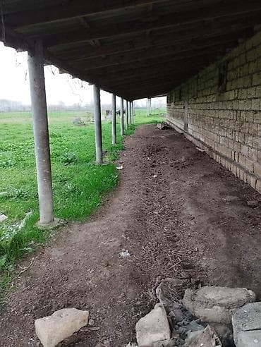 torpaq yeri: 500 sot, Kənd təsərrüfatı, Mülkiyyətçi, Kupça (Çıxarış), Bələdiyyə — 6