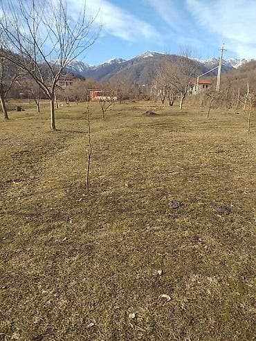 qalada xasaxunada ev torpaq: Tikinti — 4