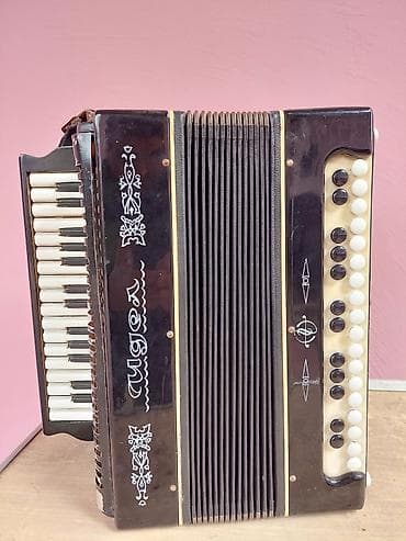 Akkordeonlar: Akustik Akkordeon — 1