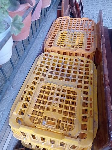 heyvan sahiblənmə: Toyug daşımaq üçün setkalar satılır.6-ededi.1ededi 27 manata.bine — 2