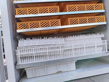 İstehsal avadanlığı: 1100 yumurta, Çin, Tam avtomat — 2