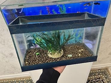 Dördbucaq akvarium, Boş, 7 l, Ödənişli çatdırılma