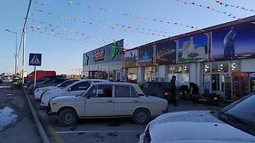 obyekt satilir: Zabrat Maştağa Olimpiya kompleksi ilə uz uzə olan yolda 100 sot torpaq — 2