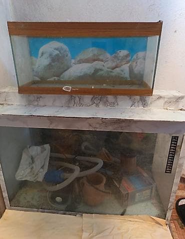 diri balıq: Akvaryum dəsti 🐠 Premium Akvarium Satışı – Aksesuarlarla Birgə Az — 1