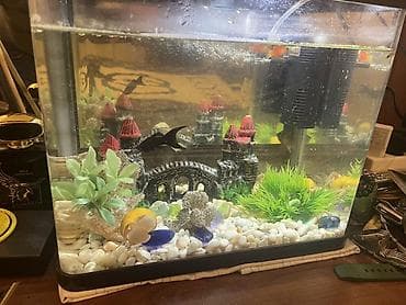Akvaryum seti – tam quruluşlu dekorlu herşey daxil icinde 4edeb boyuk