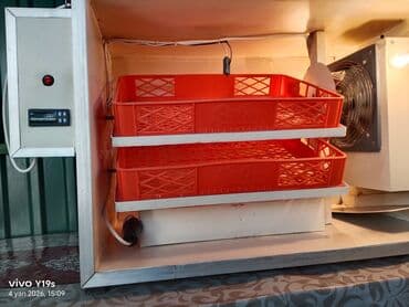 tendir reklami: Yumurta çıxardıcı inkubator – elektriklə işləyən, tam avtomat — 2