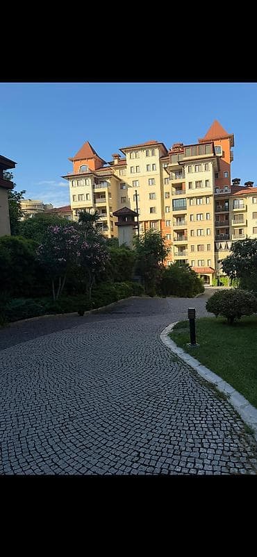 studio menziller: Genclikde IST petrolun yaninda Parkin yaninda Rosevillanin binasinda — 3