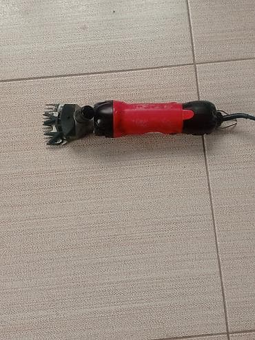 tap az at satisi: Qoyun qırxan maşın satılır işlədilməyib zəhmət olmasa real alıcılar — 1