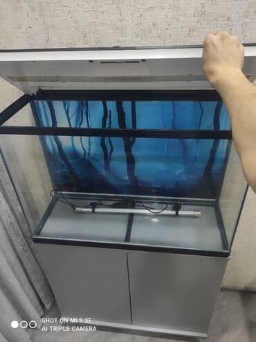 betta balıq: Akvaryum komplekti – şkaflı - Şüşə akvaryum, üst qapaqlı. Qapaq — 3