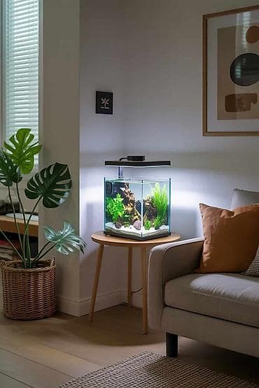 сколько стоит аквариум: Вместе с рыбами, 3 л, Платная доставка — 1