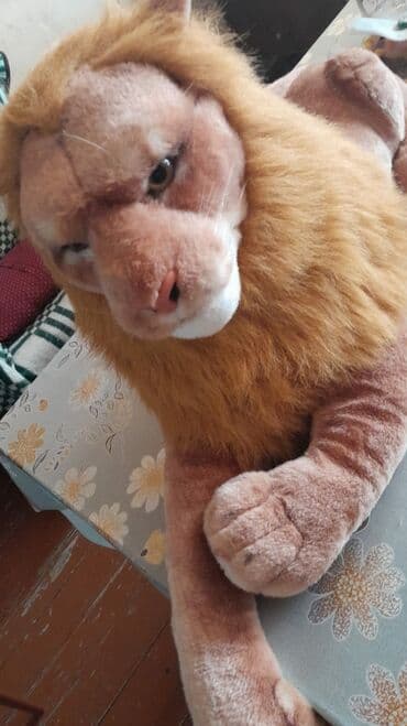 сколько стоит лабубу в азербайджане: Gəncədə Yumşaq, tüklü şir oyuncağı satılır əla vəziyyətdədir problemi — 2