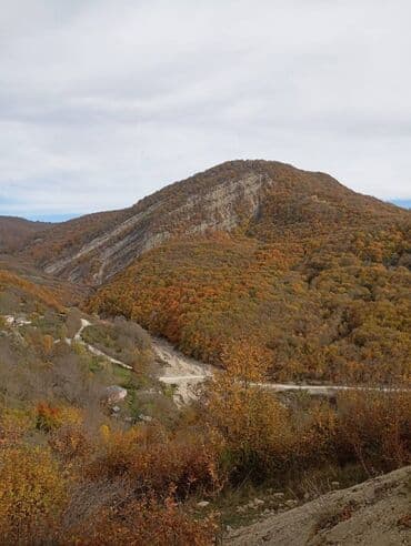 kohne guneslide evler: 200 м², 2 комнаты — 9