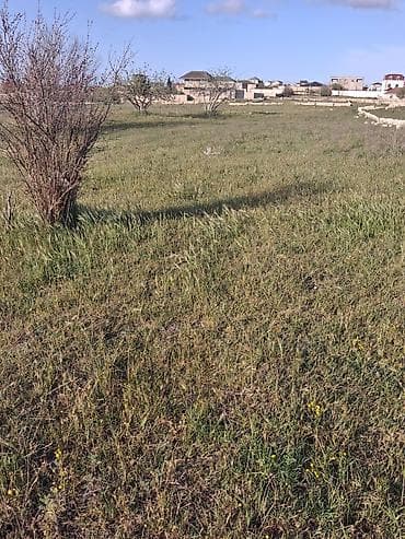 12 sot, Tikinti, Mülkiyyətçi, Kupça (Çıxarış)