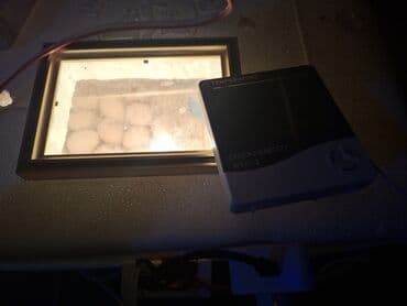 Gözəllik və estetika avadanlığı: Styropordan hazırlanmış inkubator komplekti Xüsusiyyətlər: - İstilik — 2