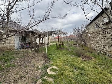 10 sot, Tikinti, Maklerlər narahat etməsin