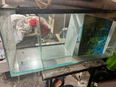 Dördbucaq akvarium, Boş, 80 l