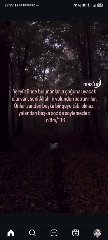 cucə gəncə: Balaca qaz cücəleri və ördək balasi - Cins: qaz (sarı-ağ lələklər — 7