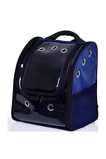 Pişiklər: Benqal, Erkək, Pulsuz çatdırılma — 6