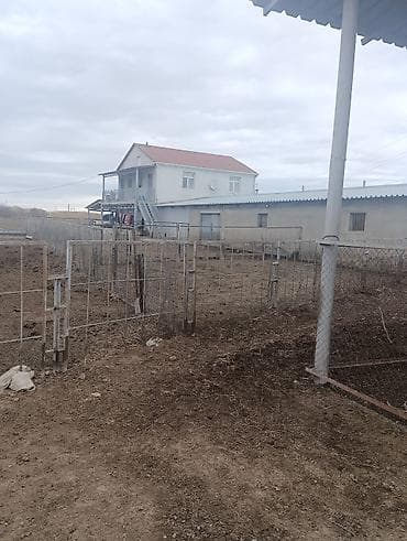 torpaq razin: Kənd təsərrüfatı — 1