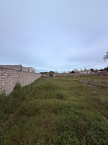 12 sot, Tikinti, Kupça (Çıxarış) — 7